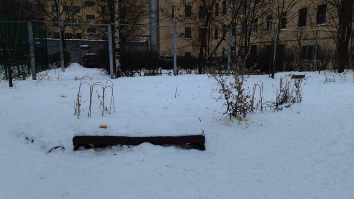 Петербуржцы опасаются роста преступности из-за зарастающего Сытнинского пустыря