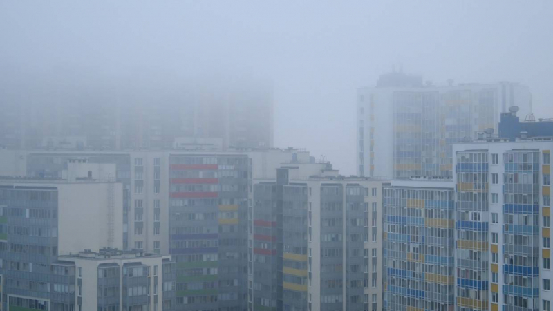 Береговая линия Петербурга покрылась густым туманом