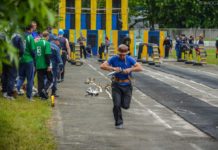 Полезные сайты Житомира