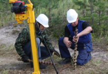 Что такое геология участка?