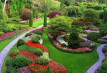 Основные типы ландшафтного дизайна