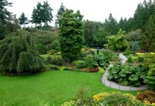 Как правильно осуществлять озеленение сада?