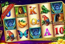 История игры в блэкджек