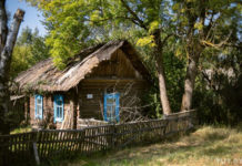 Пустых домов в деревнях много, но можно ли их «купить за копейки», как говорил президент?