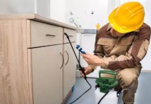 Как получить услуги дезинсекции в Москве?