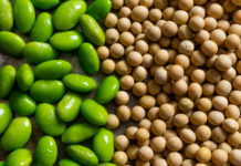 Соя от производителей по лучшей цене