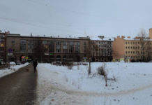 Петербуржцы опасаются роста преступности из-за зарастающего Сытнинского пустыря