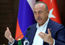 Глава МИД Турции: Убийство посла Карлова не разрушило дружбу Москвы и Анкары