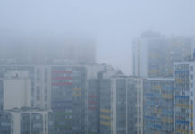 Береговая линия Петербурга покрылась густым туманом