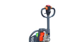 Электрическая рохля: что это такое