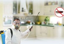 Служба травли тараканов: как осуществляется