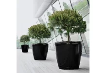 Как выбрать большой горшок для цветов: советы по выбору