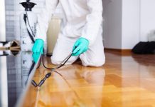 Что такое дератизация помещений, для чего она нужна?